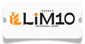 Limon Logo